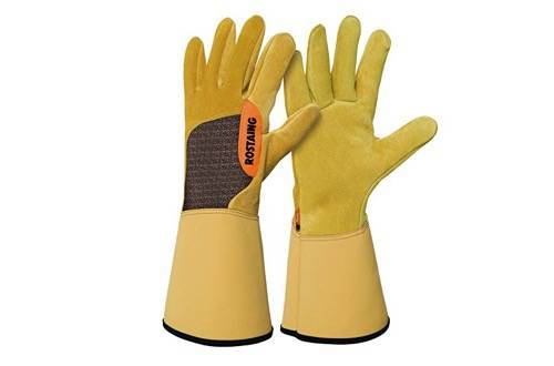 Gants de jardinage Rostaing Roncier